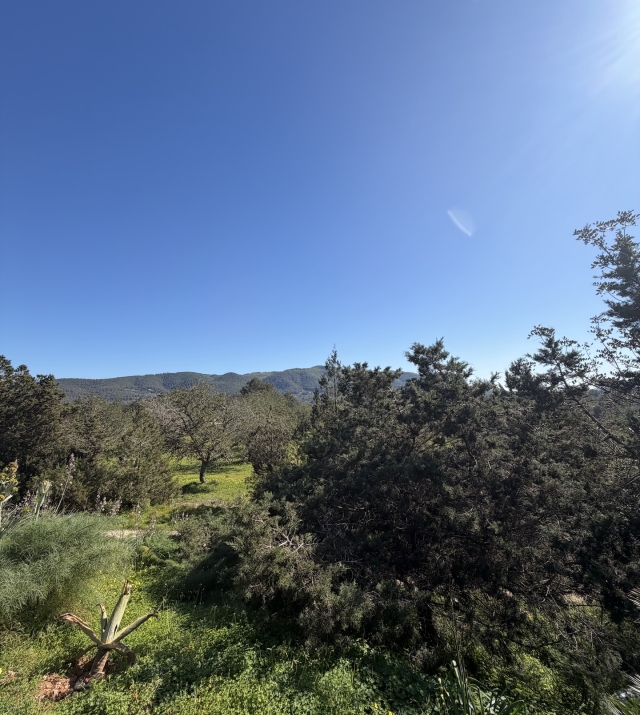 Resa Estates Finca san Miguel for sale offline 2.jpeg